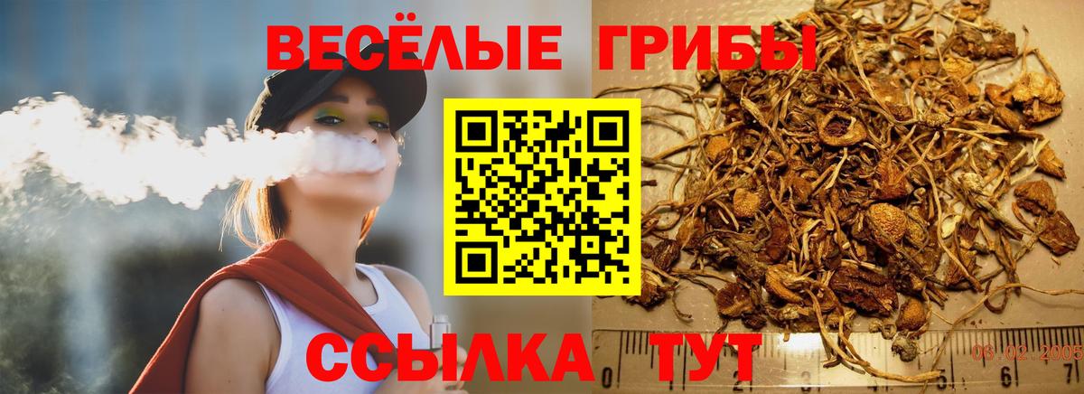 Галлюциногенные грибы ЛСД  Псилоцибиновые грибы Psilocybe  Вход с VPN  Егорьевск 